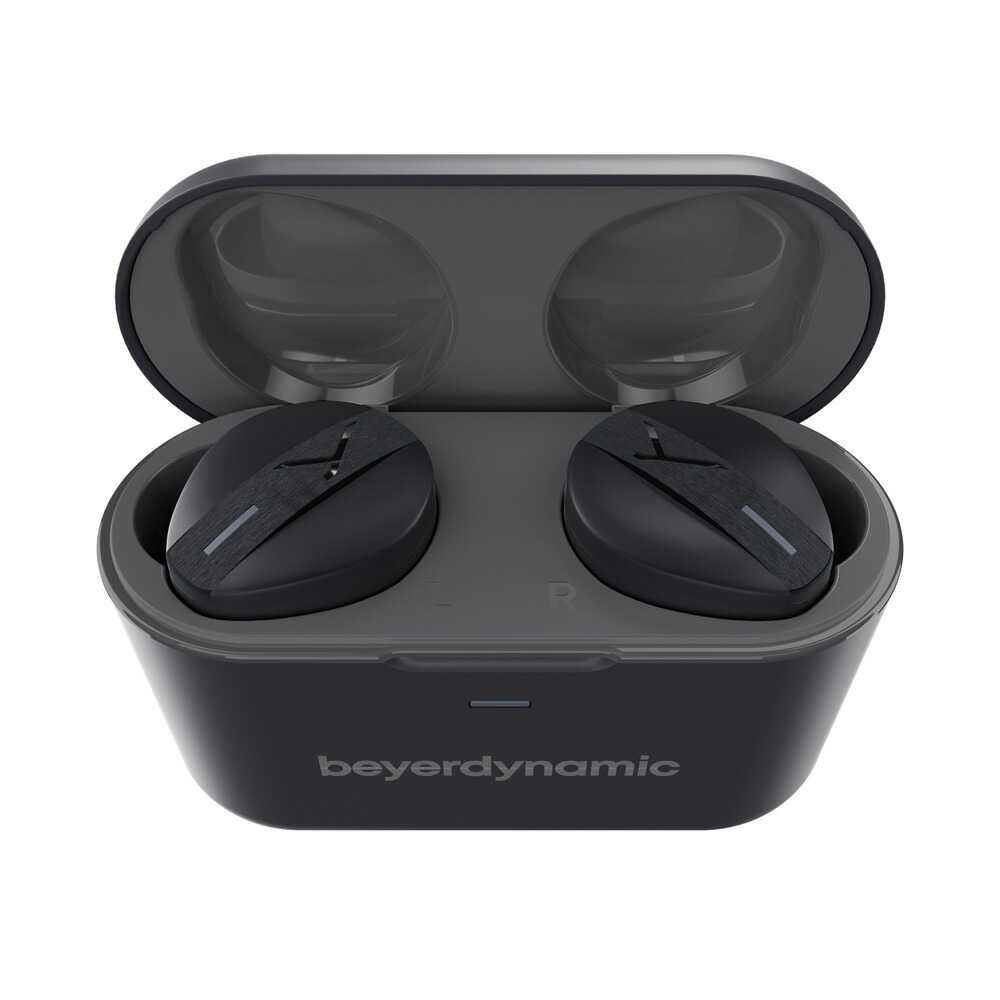 ブックス: beyerdynamic 完全ワイヤレス ノイズキャンセリング イヤホン Free BYRD, black - beyerdynamic - 4589702693926 : PCソフト・周辺機器