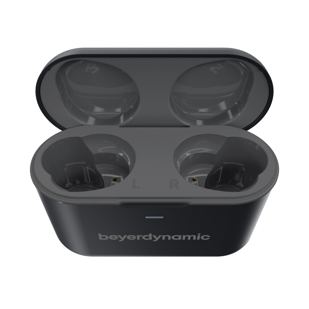 ブックス: beyerdynamic 完全ワイヤレス ノイズキャンセリング イヤホン Free BYRD, black - beyerdynamic - 4589702693926 : PCソフト・周辺機器