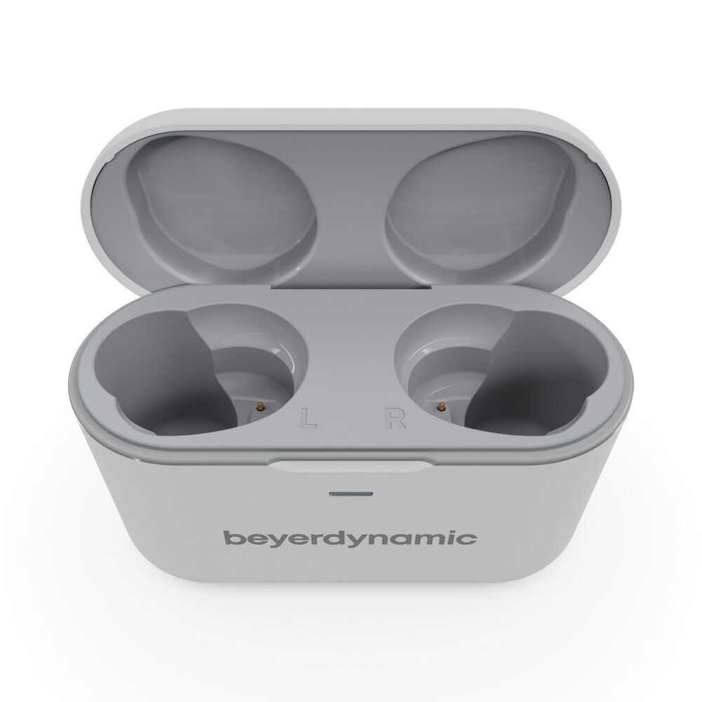 ブックス: beyerdynamic 完全ワイヤレス ノイズキャンセリング イヤホン Free BYRD, gray - beyerdynamic - 4589702693933 : PCソフト・周辺機器