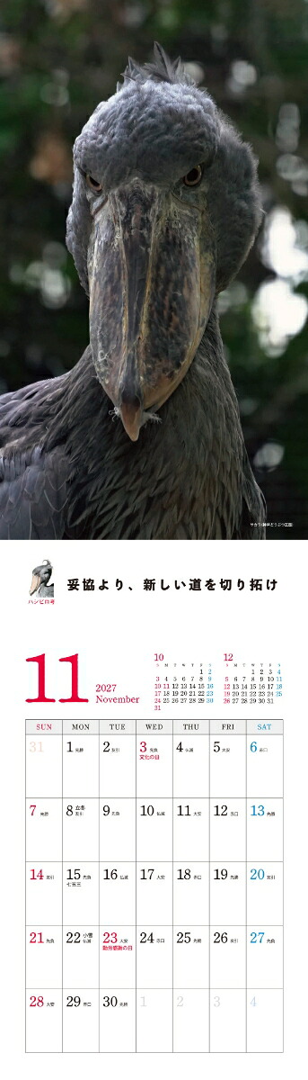 2027ハシビロコウカレンダー[南幅俊輔Presents]