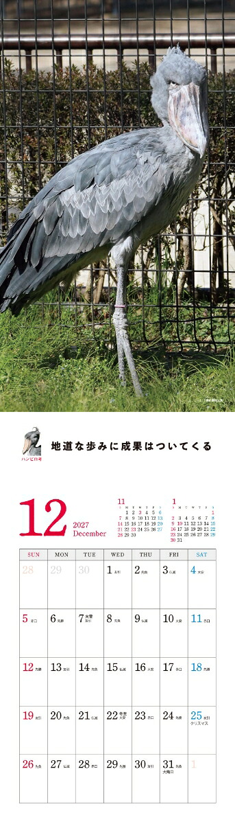 2027ハシビロコウカレンダー[南幅俊輔Presents]