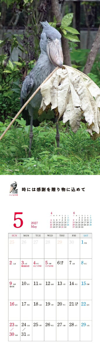 2027ハシビロコウカレンダー[南幅俊輔Presents]