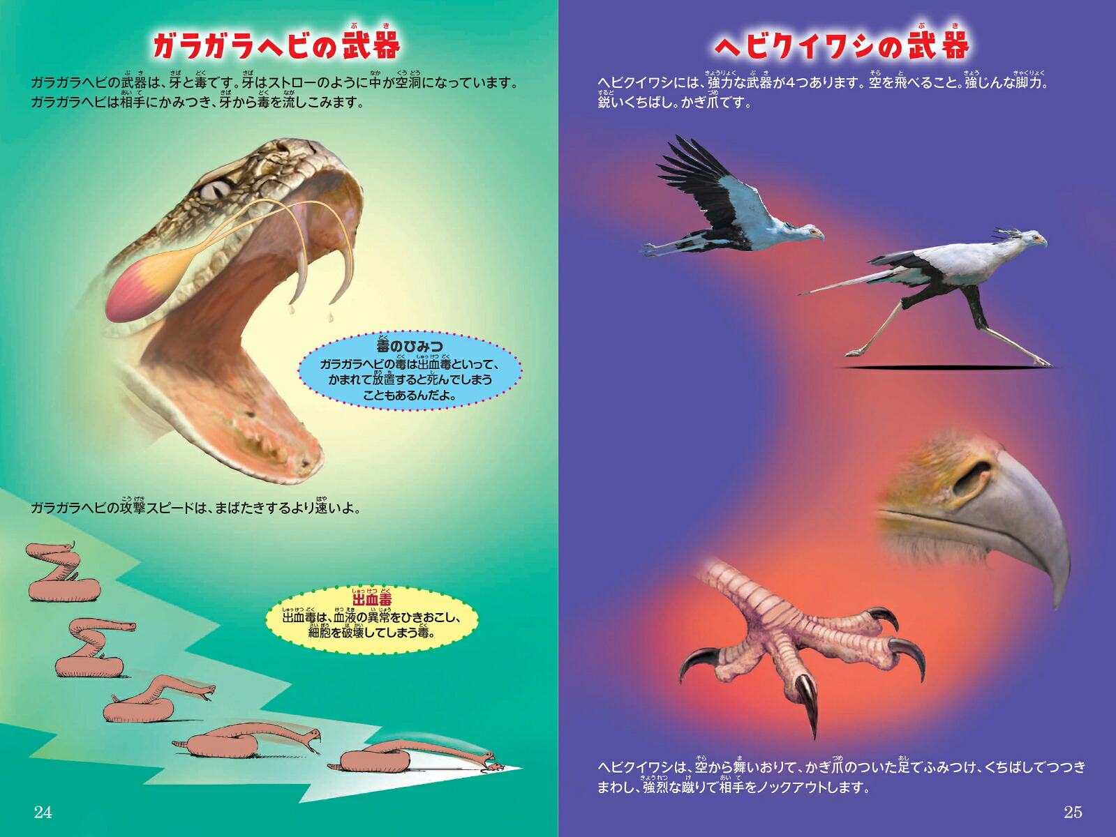 シン・動物ガチンコ対決毒牙一撃ガラガラヘビVS強蹴百発ヘビクイワシ[ジェリー・パロッタ]