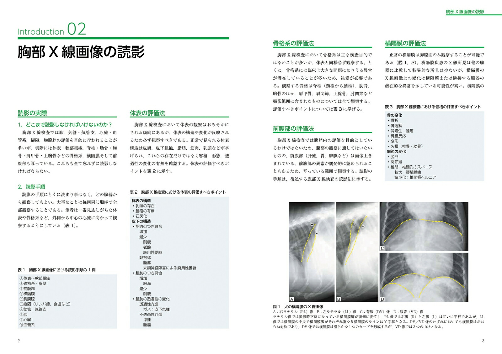 症例でみる犬と猫の胸部 腹部x線読影 異常所見を見落とさないために 華園究 本 楽天ブックス