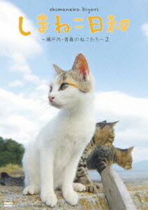 楽天ブックス テレビ愛媛開局45周年記念 しまねこ日和 瀬戸内 青島のねこたち 2 趣味 教養 4988013083981 Dvd