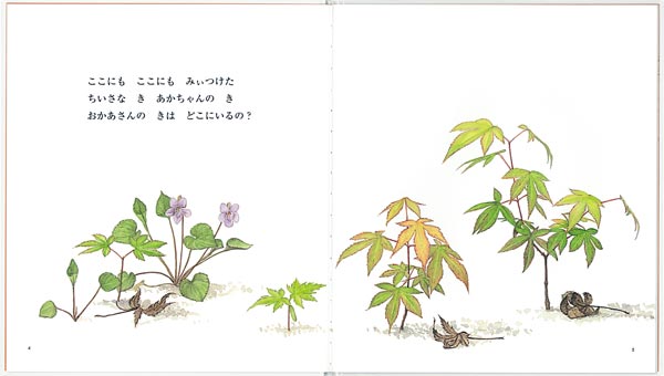 �������ʤ����Ļ����ܤդ����ʤ��ͥ��꡼����[��������]