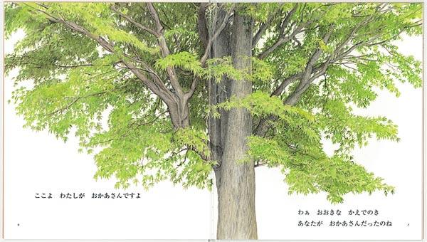 �������ʤ����Ļ����ܤդ����ʤ��ͥ��꡼����[��������]