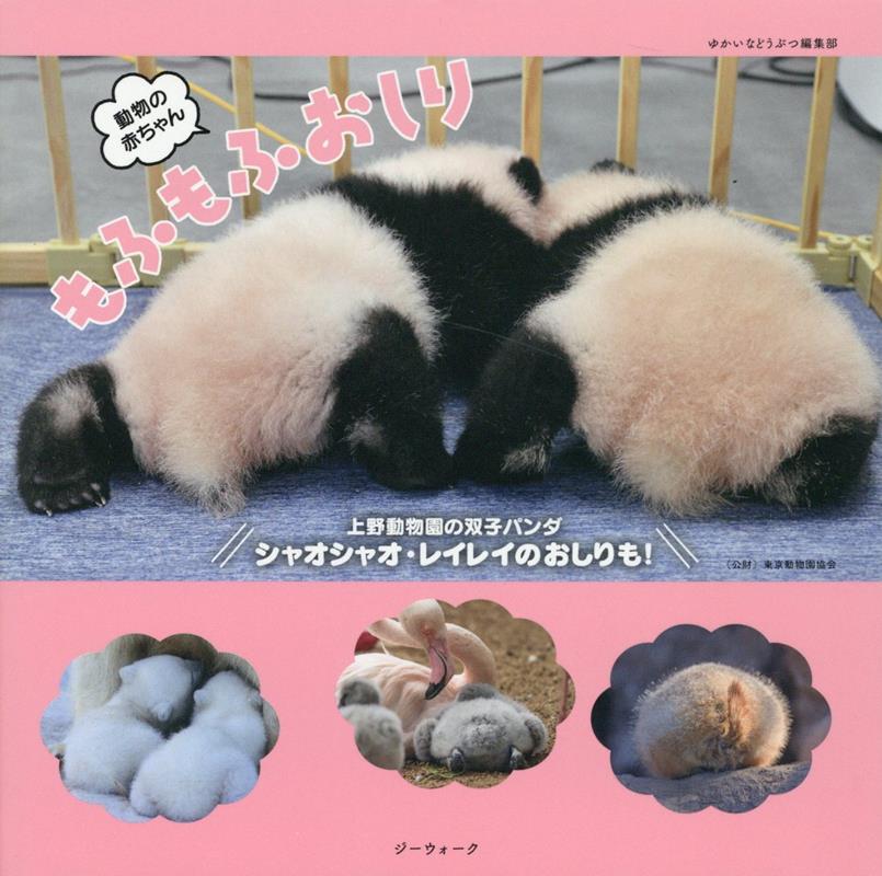 楽天ブックス 動物の赤ちゃん もふもふおしり 本