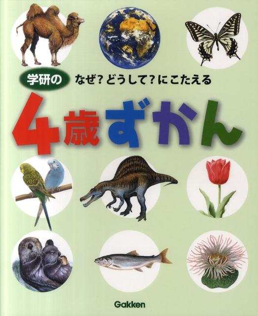 学研図鑑]15巻となぜなぜ18巻 | www.gamescaxas.com