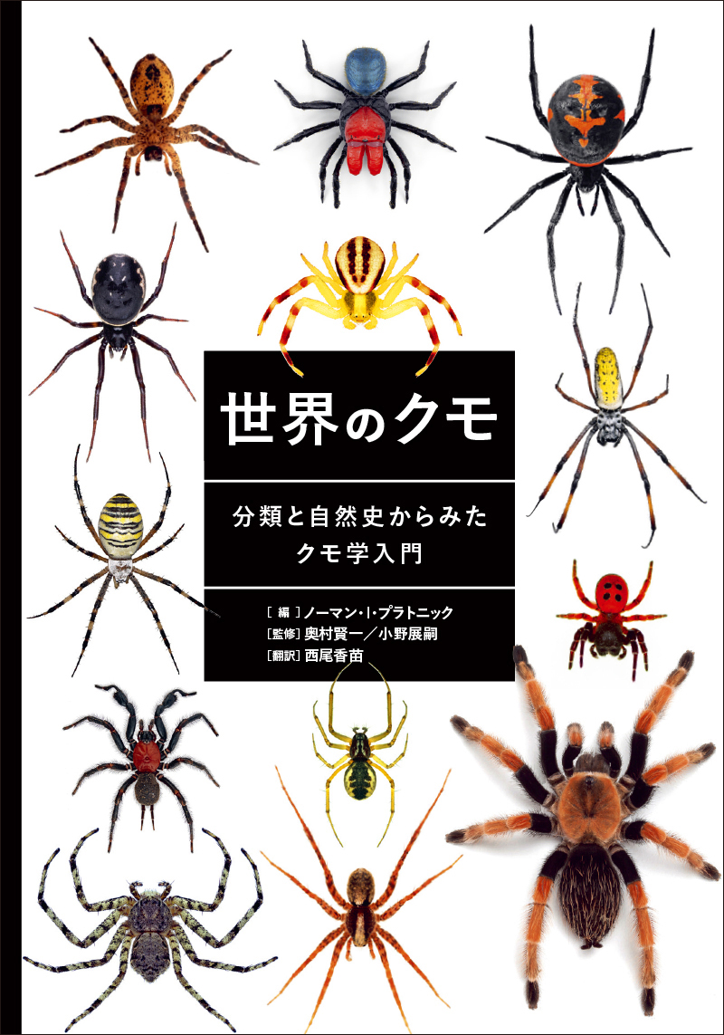 楽天ブックス 世界のクモ 分類と自然史からみたクモ学入門 ノーマン I プラトニック 本