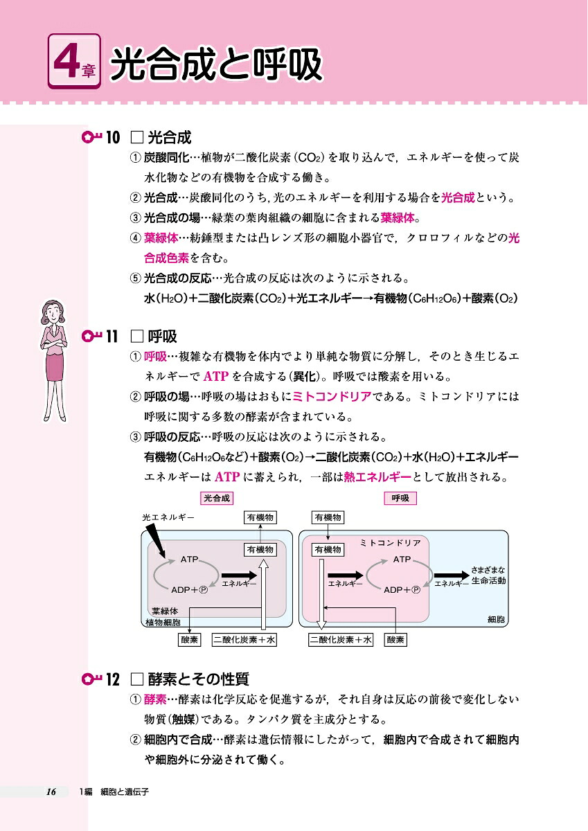 高校これでわかる基礎問題集生物基礎[文英堂編集部]