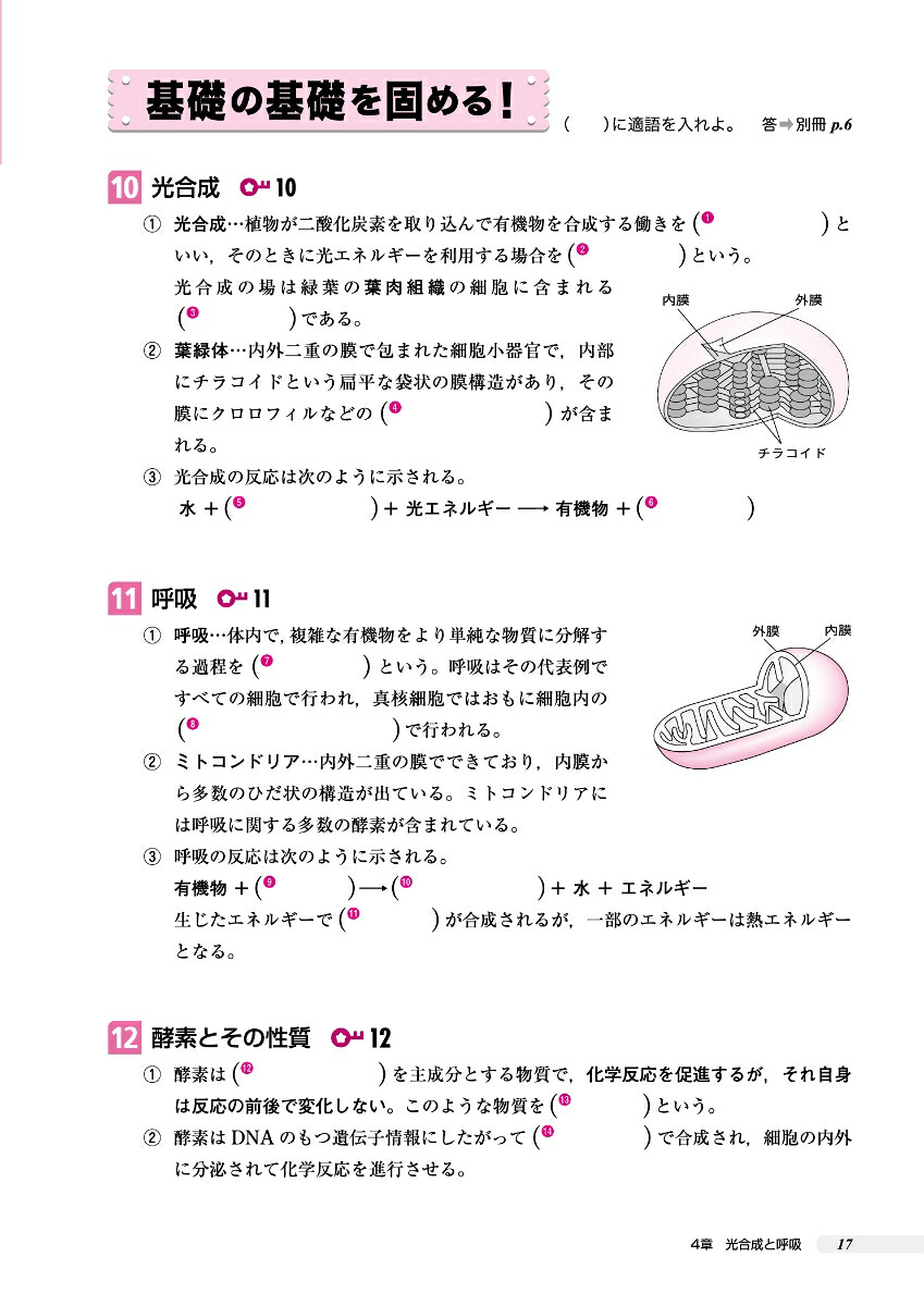 高校これでわかる基礎問題集生物基礎[文英堂編集部]