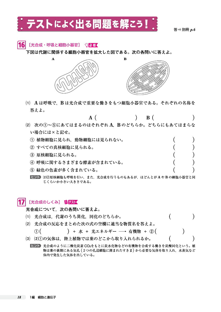 高校これでわかる基礎問題集生物基礎[文英堂編集部]