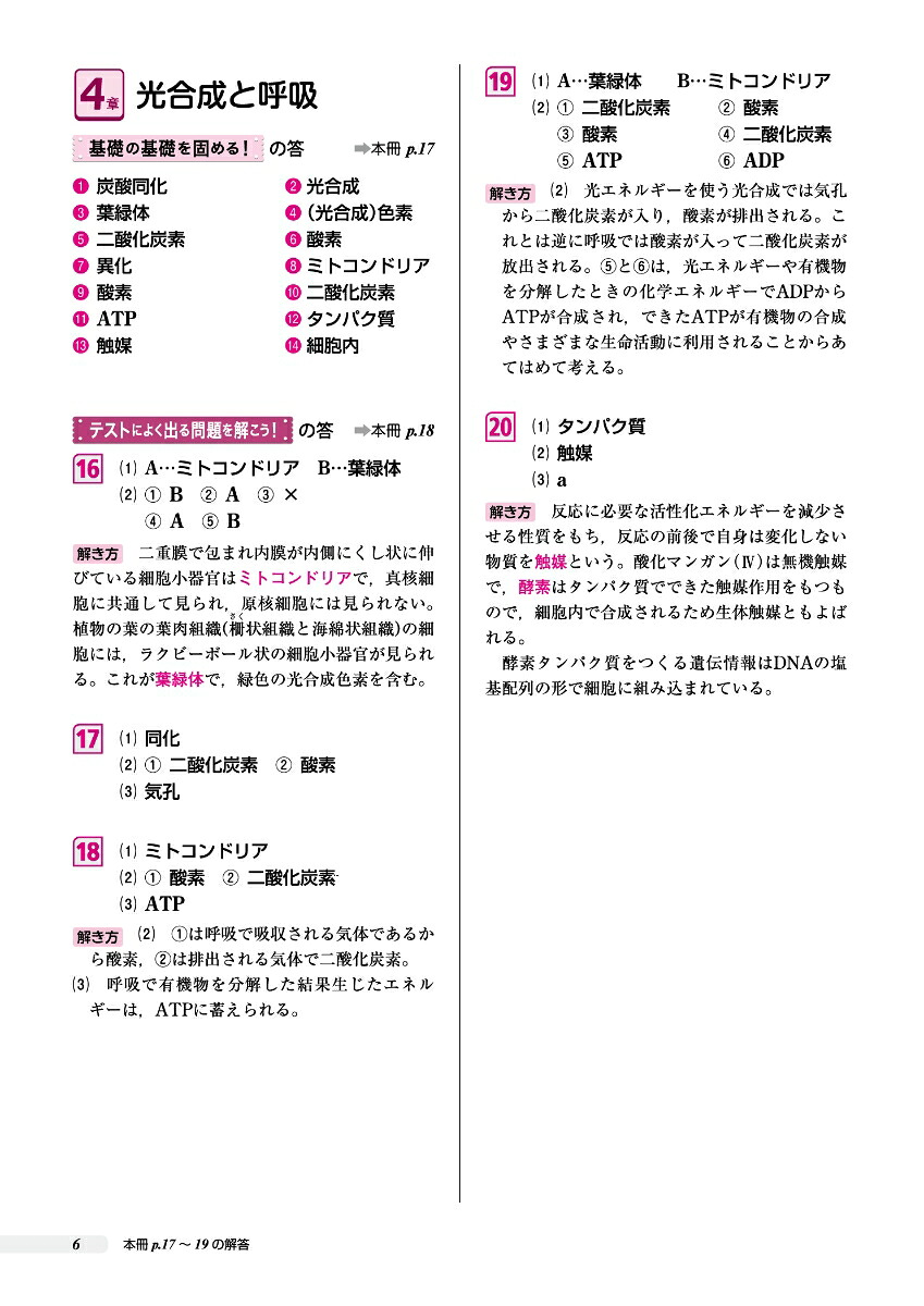 高校これでわかる基礎問題集生物基礎[文英堂編集部]