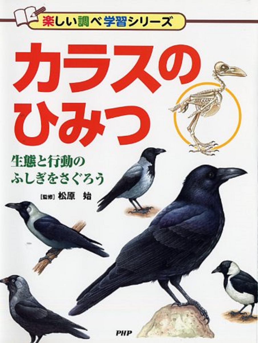 楽天ブックス カラスのひみつ 生態と行動のふしぎをさぐろう 松原始 本