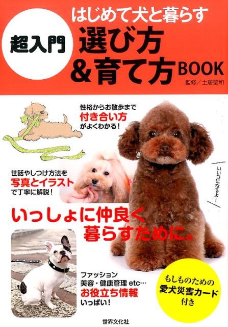 楽天ブックス 超入門はじめて犬と暮らす選び方 育て方book 土居聖和 本