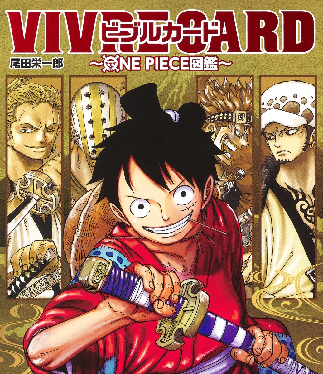 Amazon.com: ONE PIECE Vol.91 [Japanese Edition