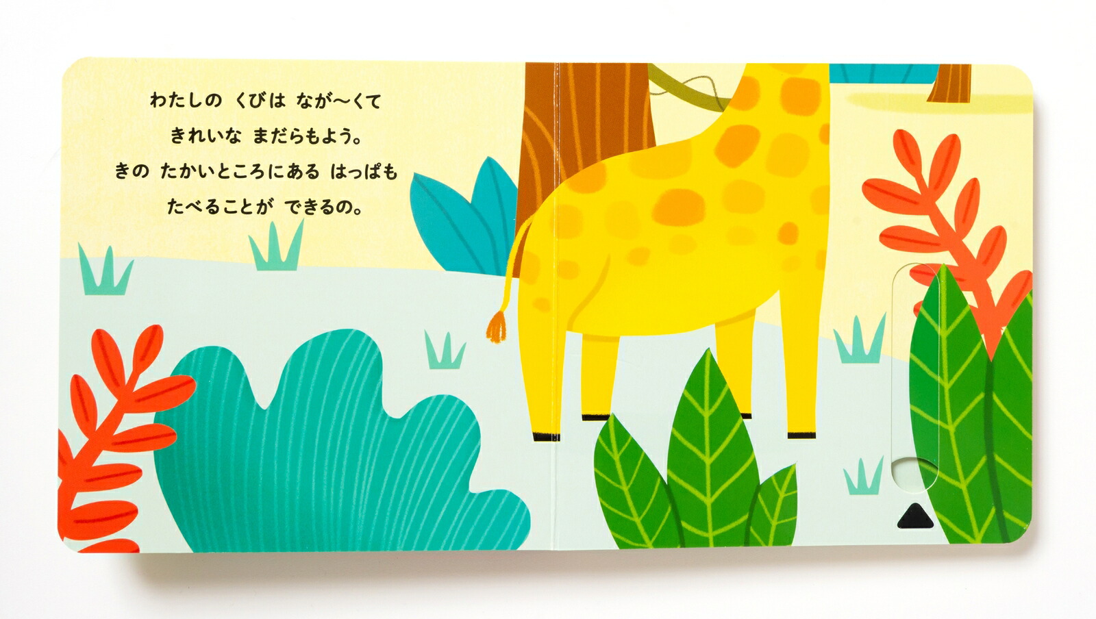 楽天ブックス ジャングルにいるのはだれかな ソニア バレッテイ 本