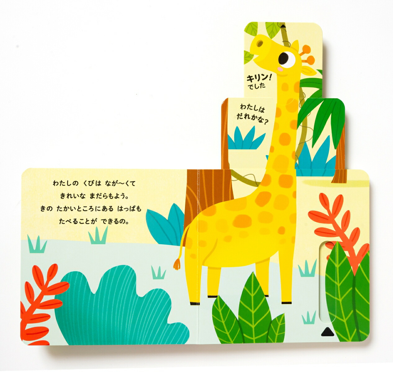 楽天ブックス ジャングルにいるのはだれかな ソニア バレッテイ 本