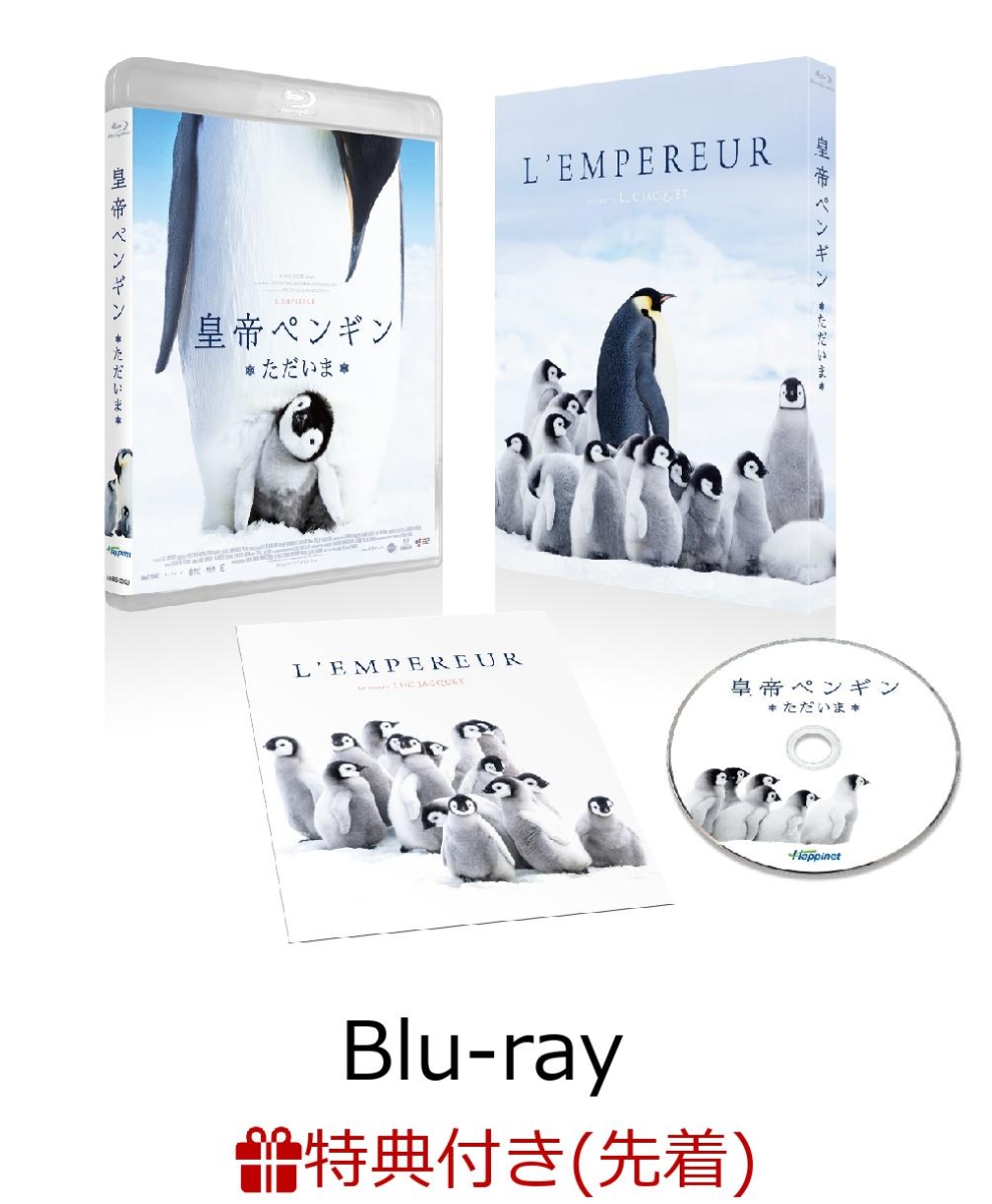 楽天ブックス 先着特典 皇帝ペンギン ただいま プレス付き Blu Ray Dvd