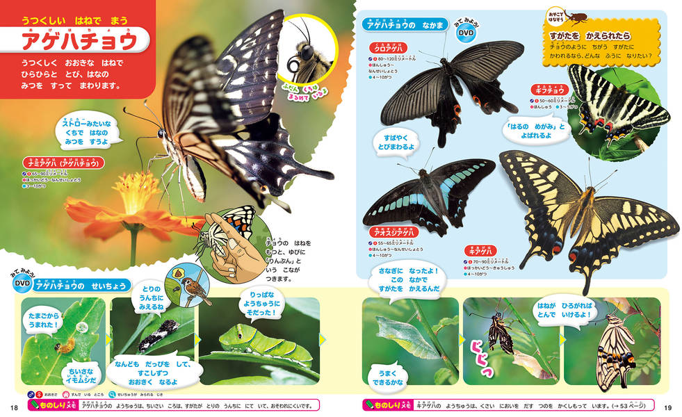 楽天ブックス はじめてのずかん こんちゅう 瀧 靖之 本