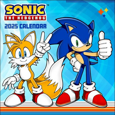 Sonic the Hedgehog 2025 Wall Calendar SONIC THE HEDGEHOG 2025 WALL C