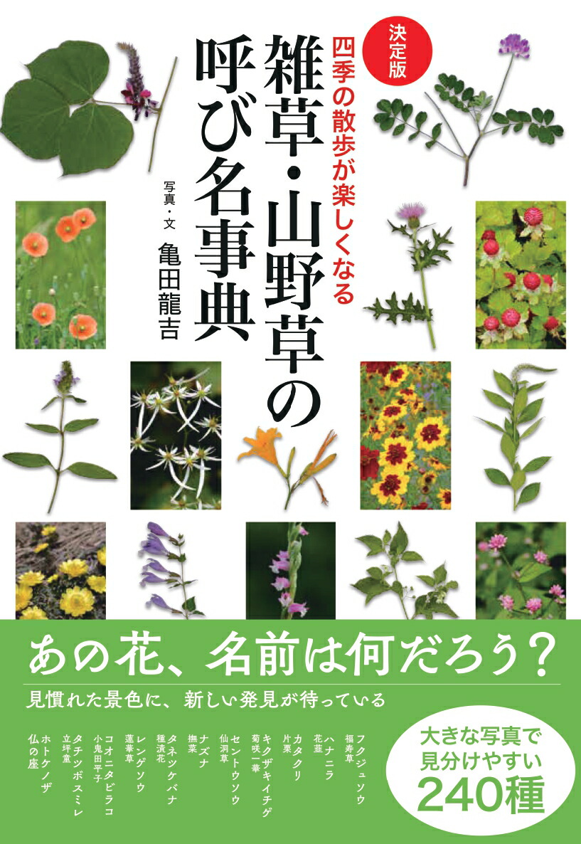 �η����ǡϻ��𡦻�����θƤ�̾��ŵ�͵��λ��⤬�ڤ����ʤ�[����ζ��]