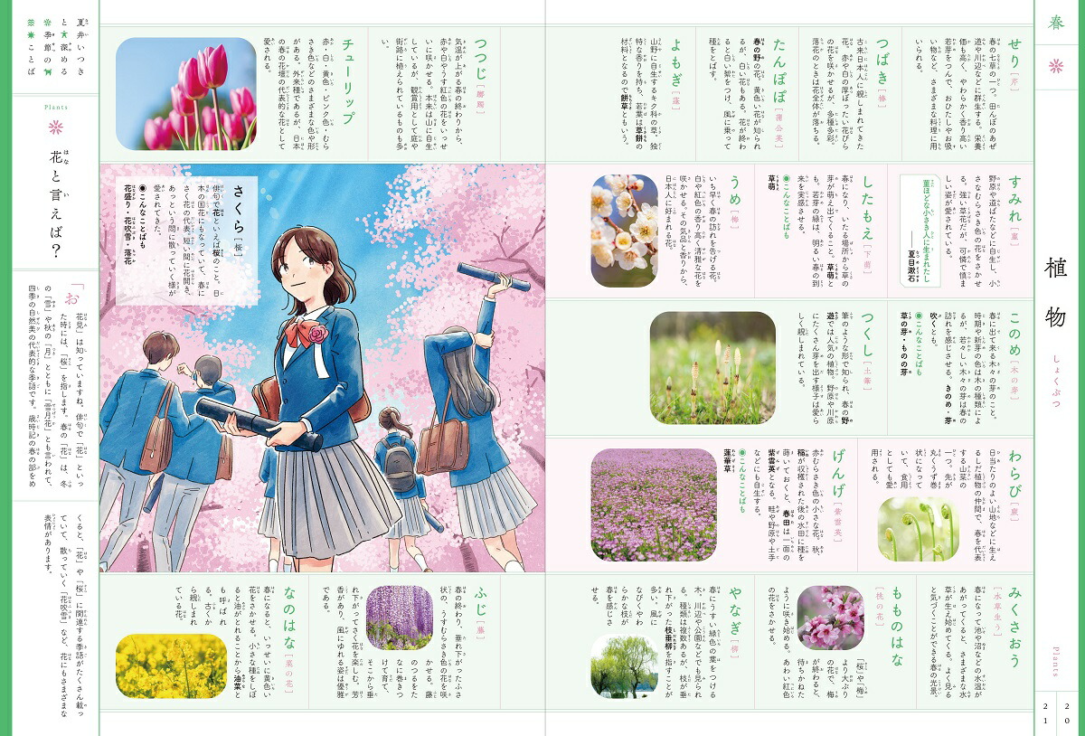 �ư椤�Ĥ��ȿ���뵨��Τ��Ȥм�ŵ[�ư椤�Ĥ�]