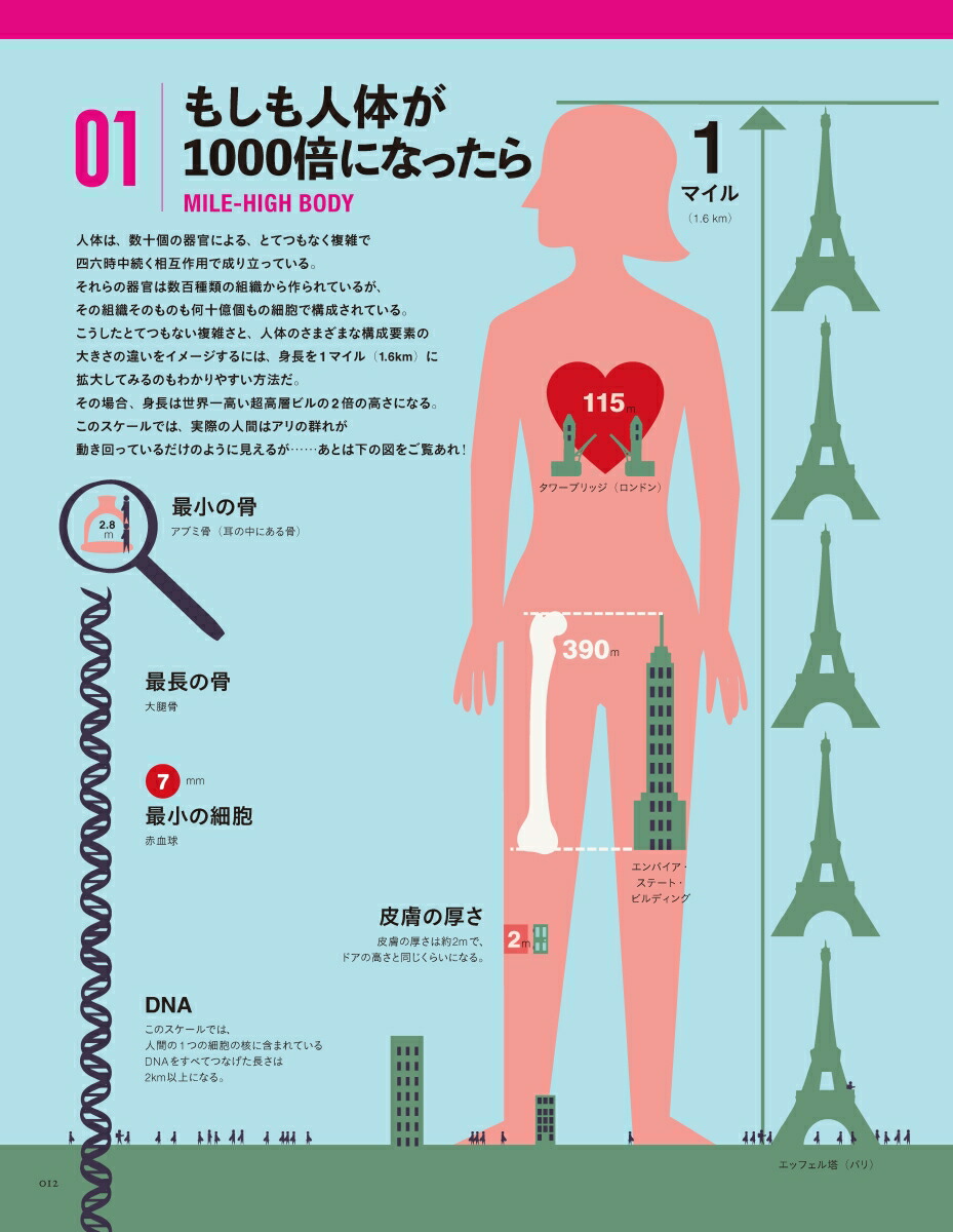 楽天ブックス Body 世にも美しい人体図鑑 本