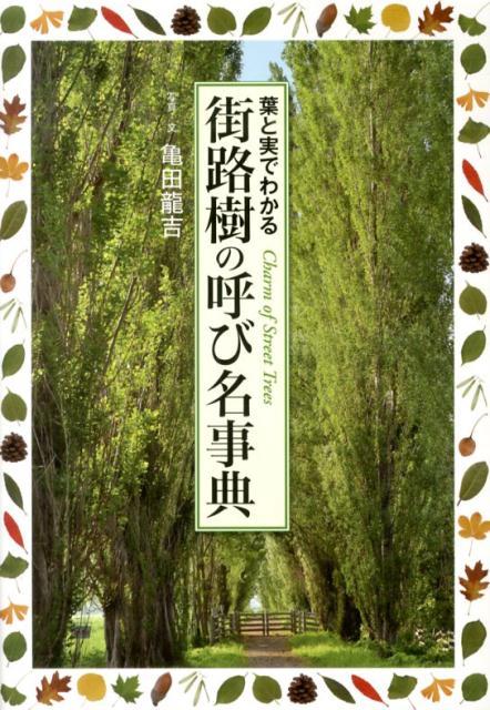 楽天ブックス: 街路樹の呼び名事典 - 葉と実でわかる - 亀田龍吉