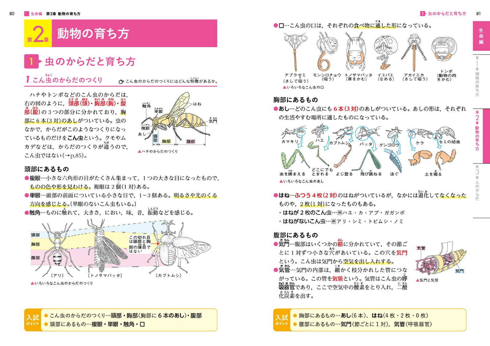 �������򾮳�����[��¼����]