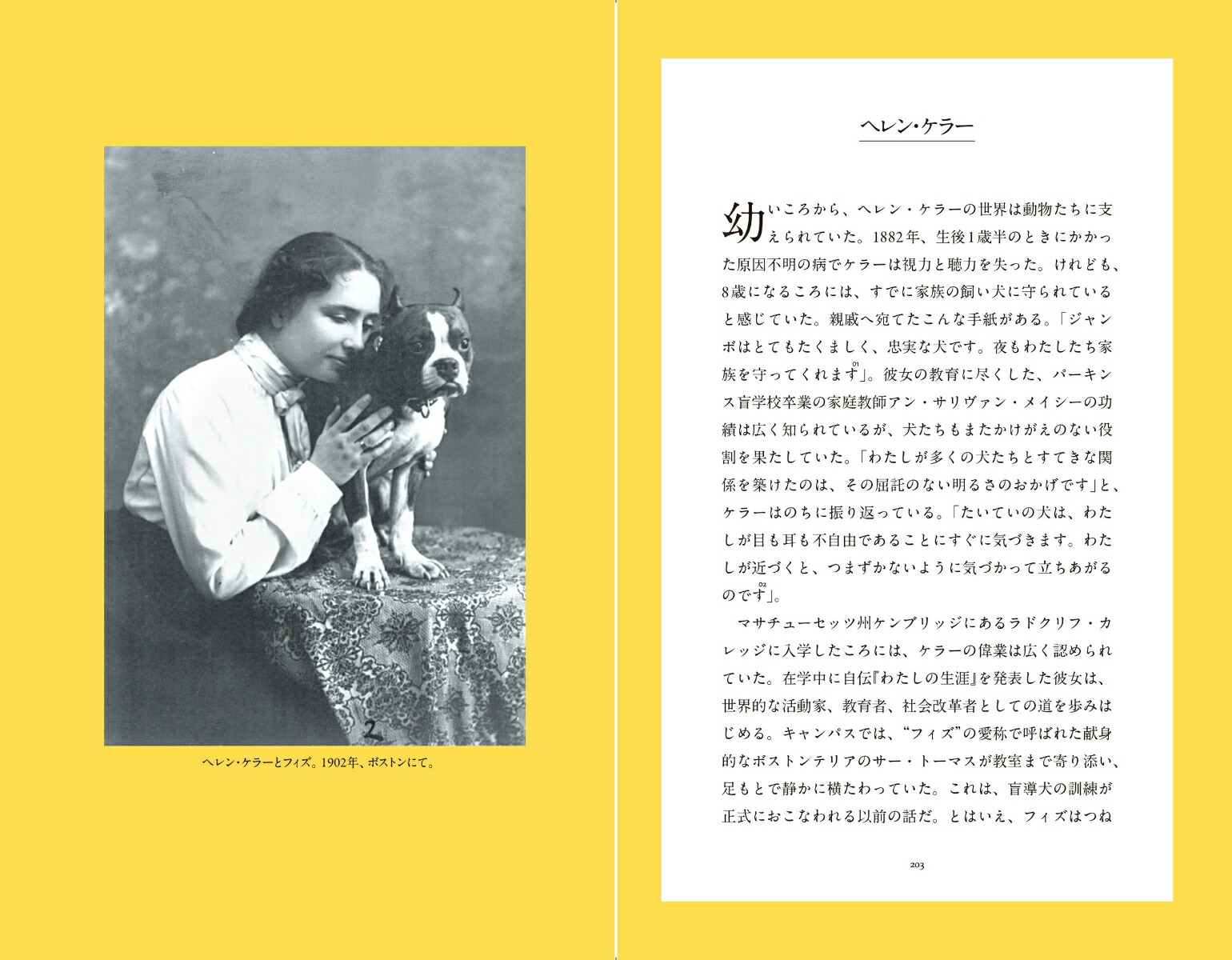 �ڥåȤ򰦤����ͤ������ڥåȥ����ˤĤ��Ƹ�ä����Ⱥ�ȡ������ƥ����Ȥ�����152�θ���[���顦�٥�����]