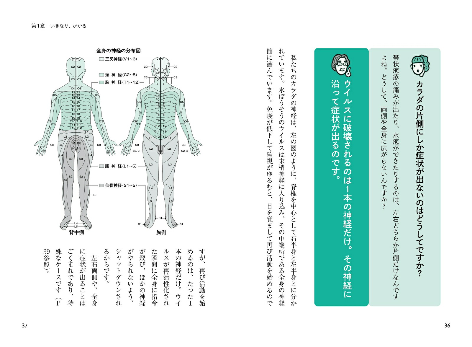 しっかりわかる帯状疱疹最適な治療と痛み対策[漆畑修]