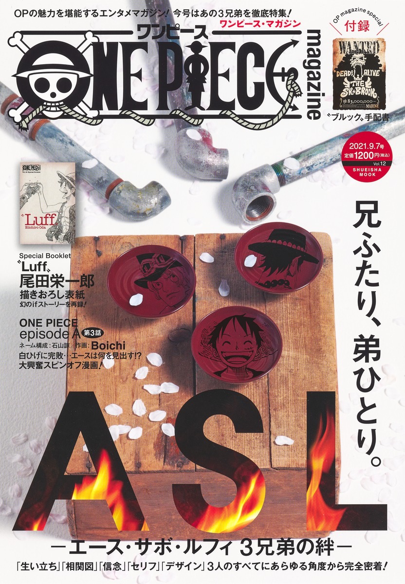 楽天ブックス: ONE PIECE magazine Vol.12 - 尾田 栄一郎