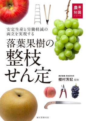 ղ̼ޤϫƯڸξΩ¸Ȥμ꡼[¼˧]
