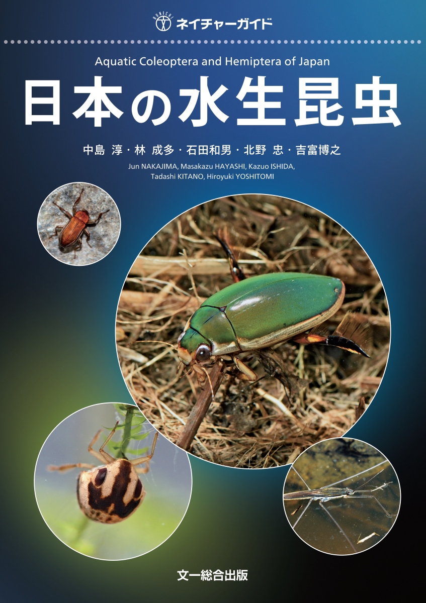 楽天ブックス 日本の水生昆虫 中島 淳 本