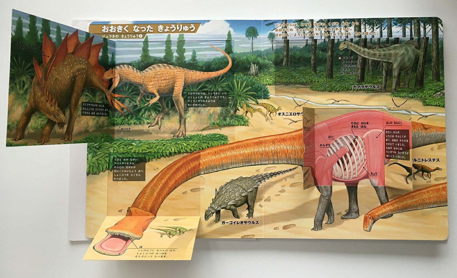 きょうりゅう 新版 まどあきしかけ （はっけんずかん） [ 真鍋真 ]