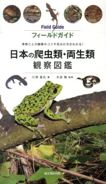 楽天ブックス 日本の爬虫類 両生類観察図鑑 フィールドガイド 川添宣広 本