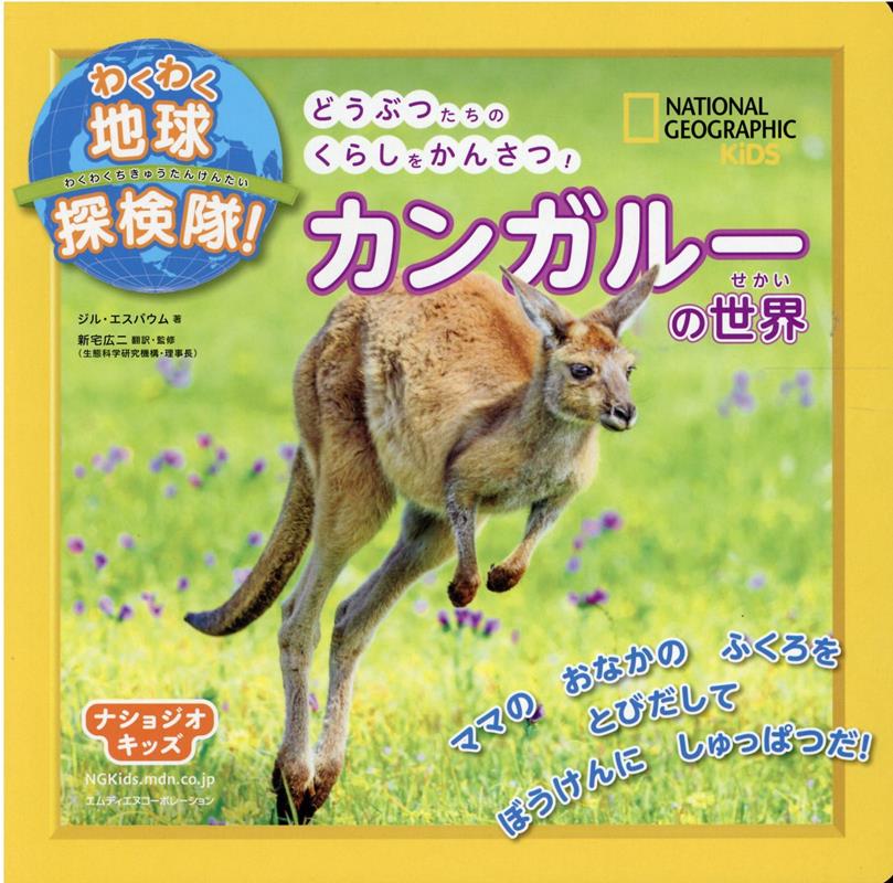 ʥ祸å勞勞ϵõ⡪󥬥롼