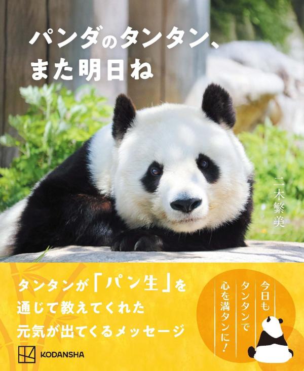 シャンシャン まちがい探し2　本2冊　缶バッジ　4種類　パンダ 🐼【パンダといっしょに遊ぶ シャンシャンまちがい探し2】発売の