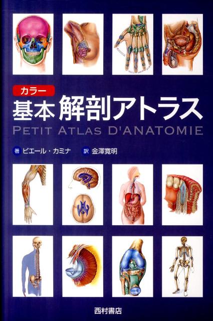 楽天ブックス: カラー基本解剖アトラス - ピエール・カミナ