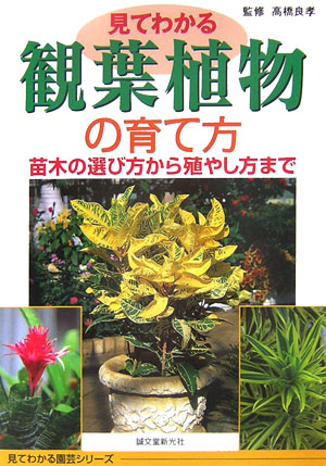 楽天ブックス 見てわかる観葉植物の育て方 苗木の選び方から殖やし方まで 高橋良孝 本