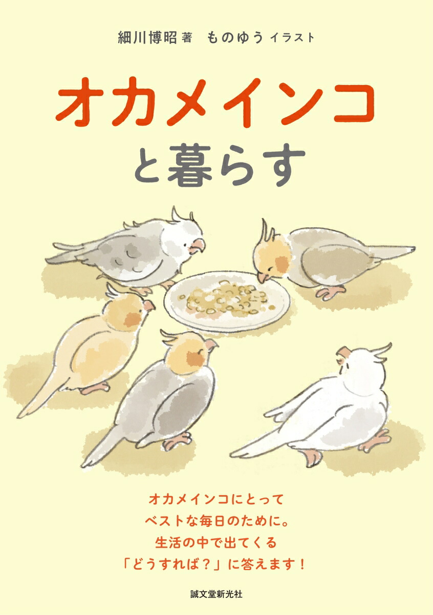 ᥤ󥳤餹ᥤ󥳤ˤȤäƥ٥ȤΤˡǽФƤ֤ɤСפޤ[]