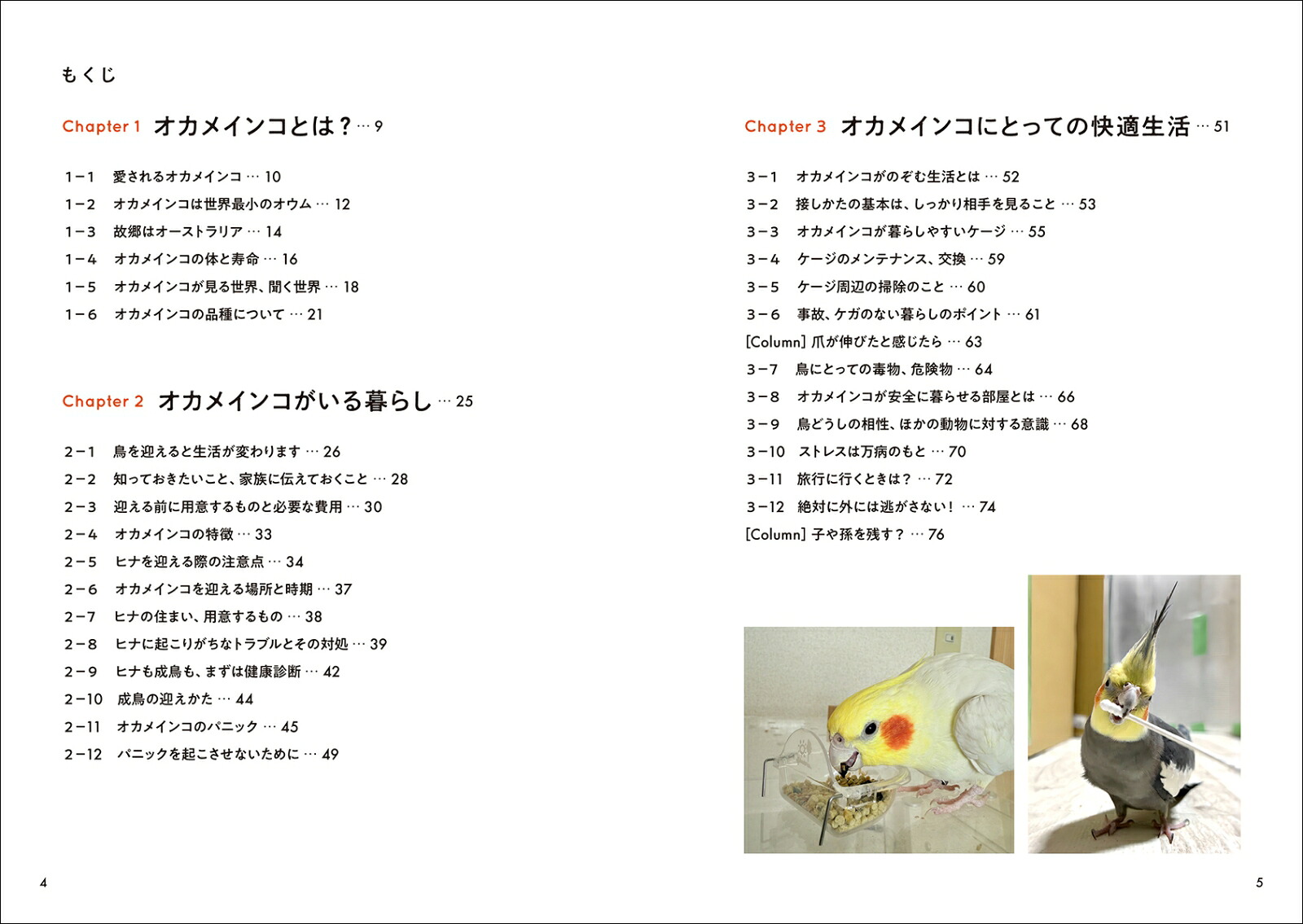 オカメインコと暮らすオカメインコにとってベストな毎日のために。生活の中で出てくる「どうすれば？」に答えます！[細川博昭]