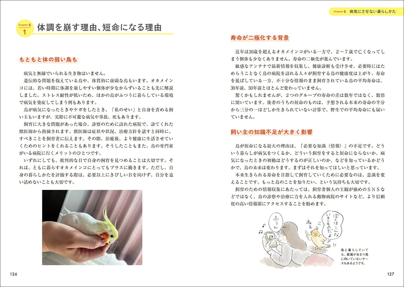 オカメインコと暮らすオカメインコにとってベストな毎日のために。生活の中で出てくる「どうすれば？」に答えます！[細川博昭]