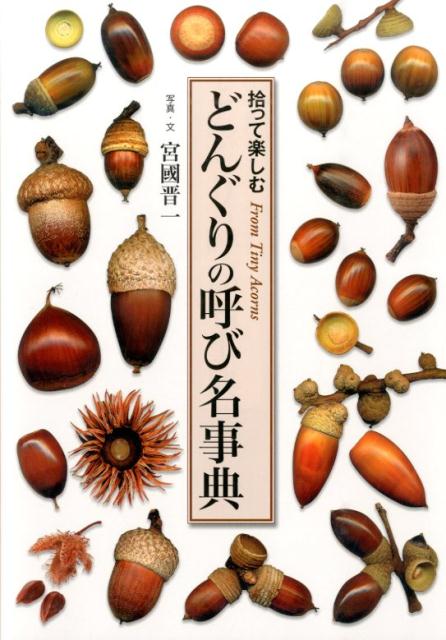 楽天ブックス どんぐりの呼び名事典 拾って楽しむ 宮國晋一 本