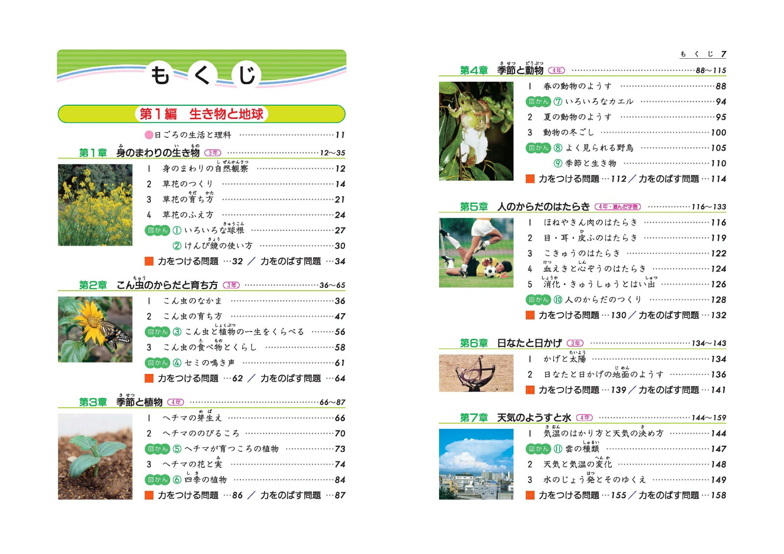 楽天ブックス 小学3 4年自由自在理科新装版 小学教育研究会 本
