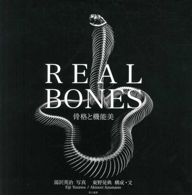 REAL　BONES　骨格と機能美画像