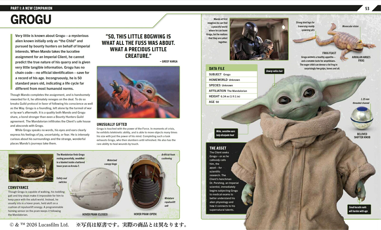 スター・ウォーズ／マンダロリアン公式ビジュアルガイド[パブロ・ヒダルゴ]