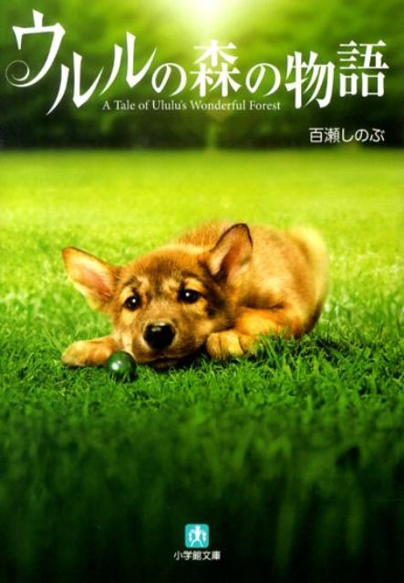 楽天ブックス ウルルの森の物語 百瀬しのぶ 本